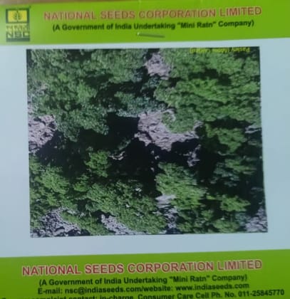 NSC Parsely, Moss Curled Exotic Vegetable 