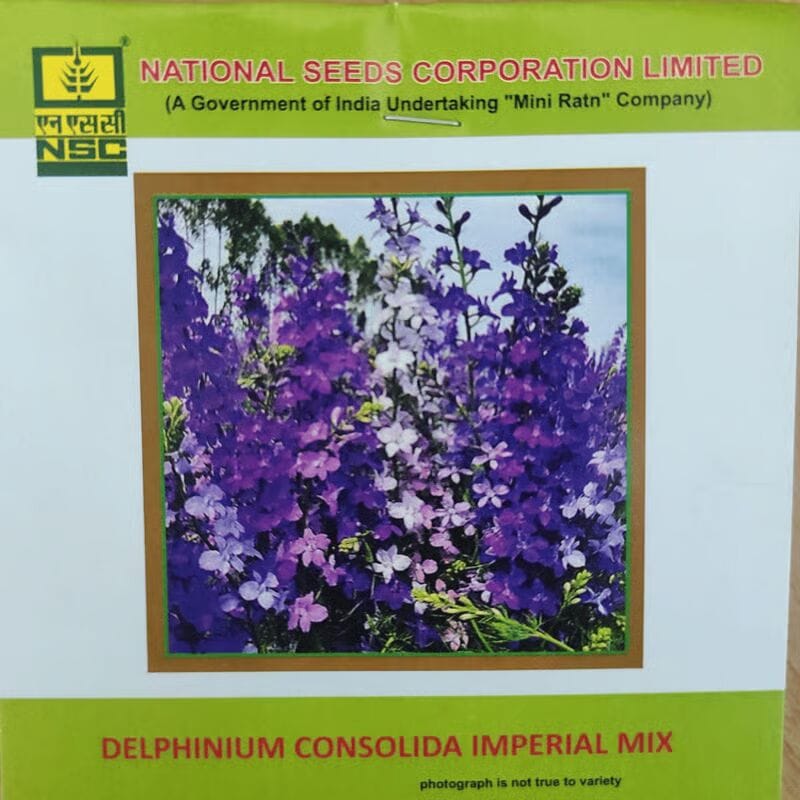 NSC Delphinium Consolida Imperial Mix Flower Seed