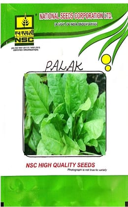 PALAK-ALL GREEN