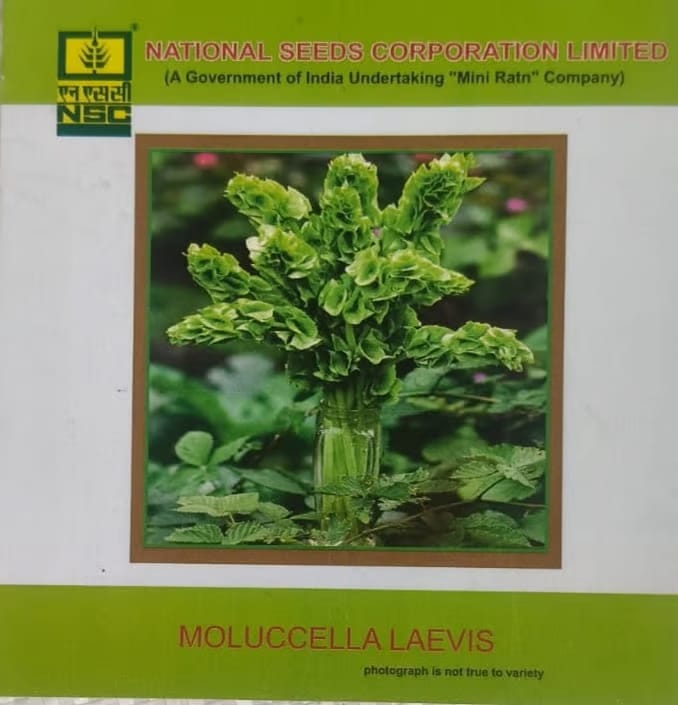 NSC Molucella Laevis Seed