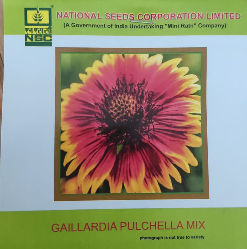 NSC Gaillardia Pulchella Mix Flower Seed