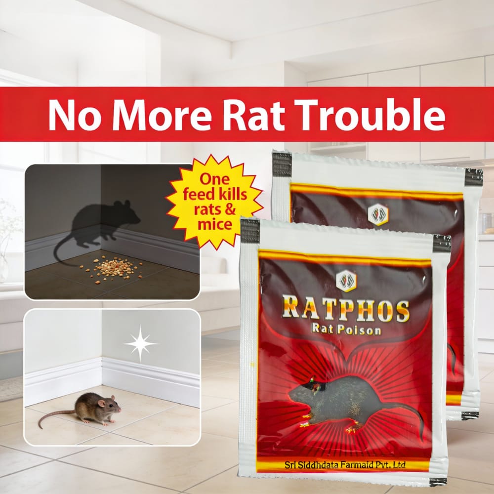 Rat Killer Powder Zinc Phosphide 80% Powerful Rat Powder | Rodenticide for Home Office Godowns | Chuha Maar 10Gx2