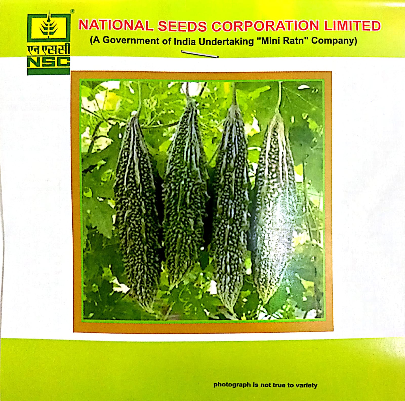 NSC Bittergourd, Variety-KAshi Pratishtha, 5gm of TL seed