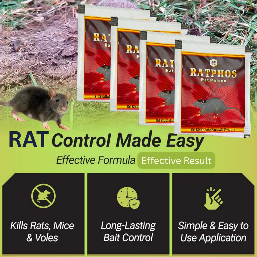 Rat Killer Powder Zinc Phosphide 80% Powerful Rat Powder | Rodenticide for Home Office Godowns | Chuha Maar 10Gx4