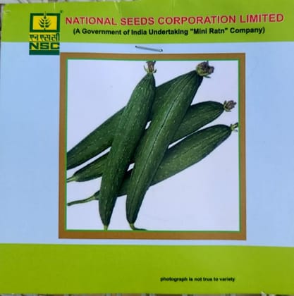 NSC SPOUNG GOURD  KASHI JYOTI TRUTHFULL LABELLED SEED 5 Gm. Packet