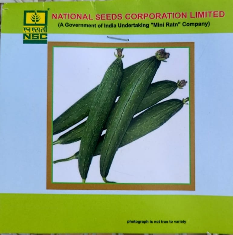 NSC SPOUNG GOURD  KASHI JYOTI TRUTHFULL LABELLED SEED 5 Gm. Packet