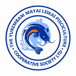 THE YUREMBAM MAYAI LEIKAI PISCICULTURE COOPERATIVE SOCIETY LIMITED