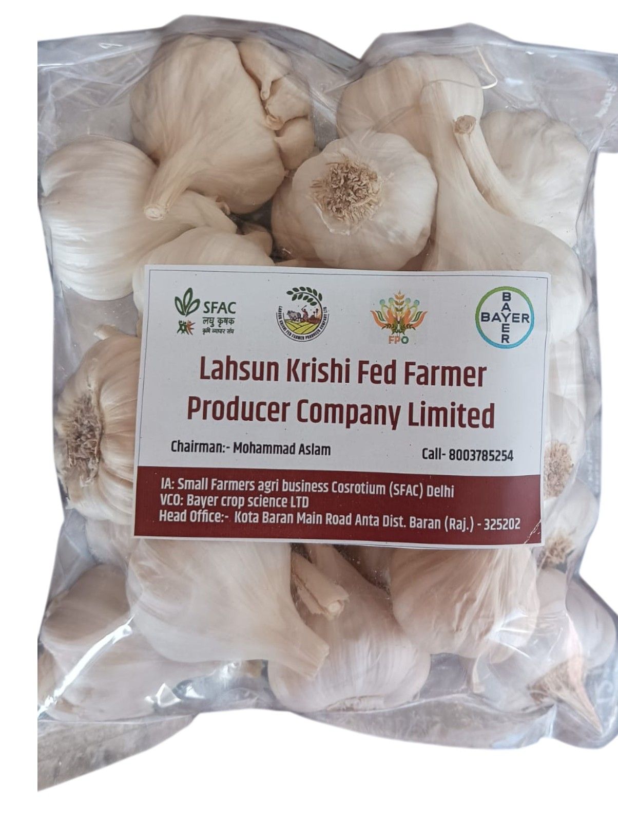 Garlic