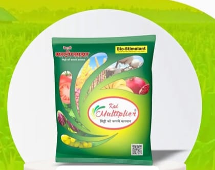 KAd Multiplier Bio-Stimulant for Soil Health and Crop Growth