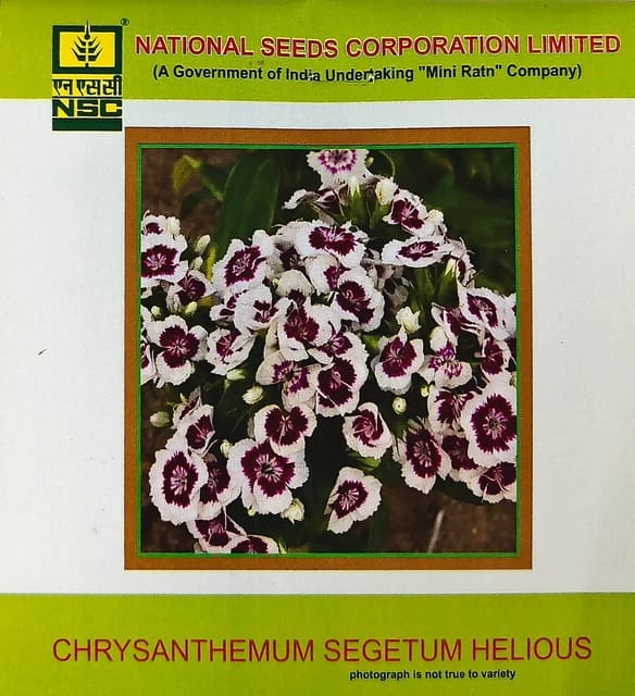 NSC Flower Chrysanthemum Segetum Helious 5 Gram Truthfully Labelled Seed Pouch