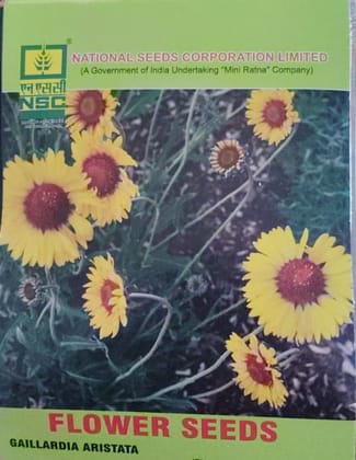 NSC Flower - Gaillardia Aristata Seed (5 gm Seed) NSC Flower - Gaillardia Aristata Seed (5 gm Seed)