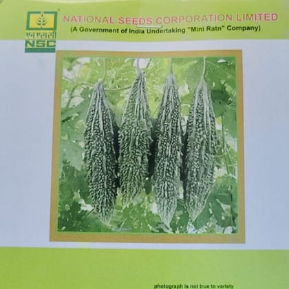 NSC Bitter Gourd Kashi Pratistha Seed NSC Bitter Gourd Kashi Pratistha Seed