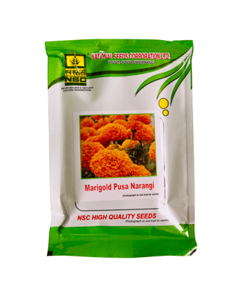 NSC Marigold Variety – Pusa Narangi | High-Quality T/L Seeds | 10 g Pack