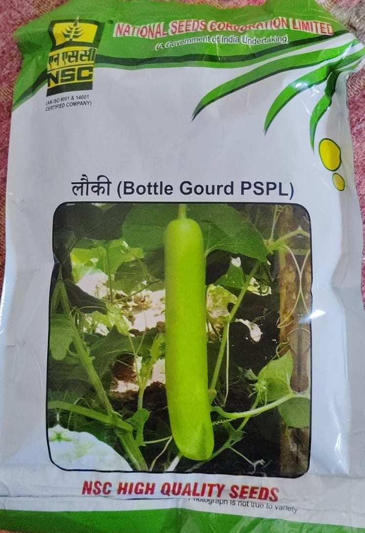 NSC Bottle Gourd PSPL High Quality Seeds