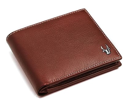 WildHorn Olive Leather Men's Wallet (Brown)