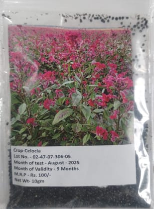 NSC Flower- Celocia - 10g seeds