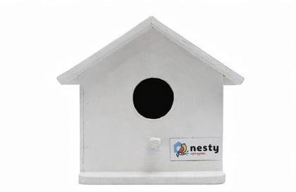 Sparrow Nest white Colour