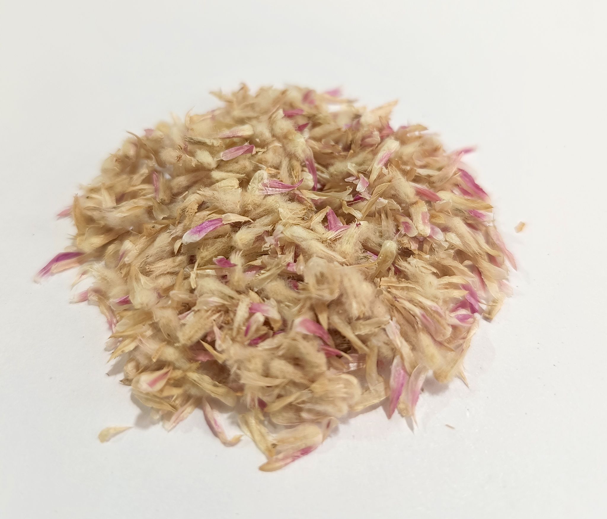  Gomphrena Mixed color Seeds