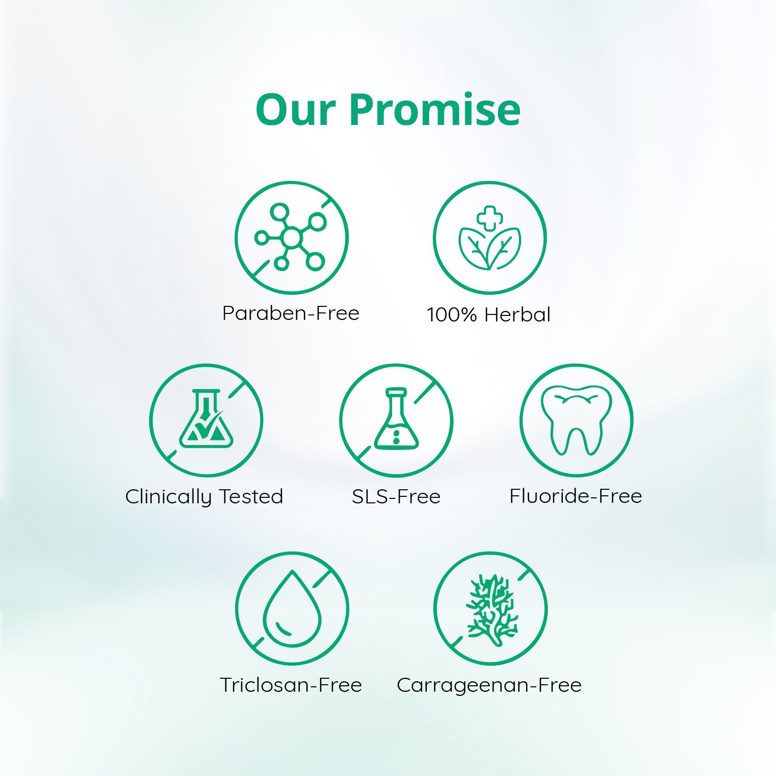 Mintdrops Premium Tooth Tabs (Spear Mint Flavour)