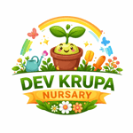 Dev Krupa Nursary Dev Krupa Nursary