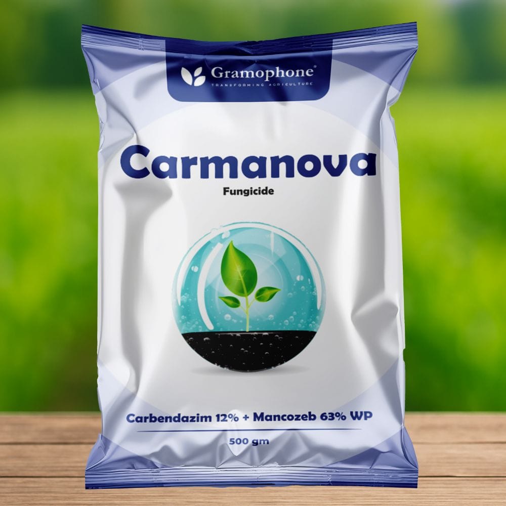 Carmanova (Carbendazim 12% + Mancozeb 63% WP)
