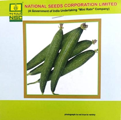 NSC Sponge Gourd Kashi Jyoti (5 gm)
