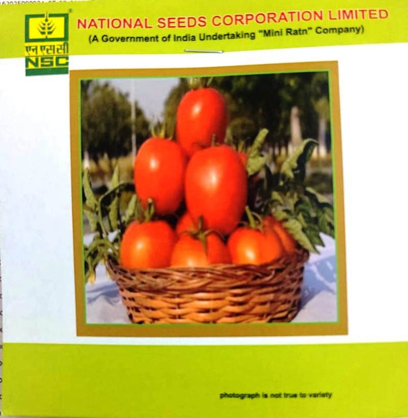 NSC Tomato Kashi Aman (5 gm) – High Quality Seed