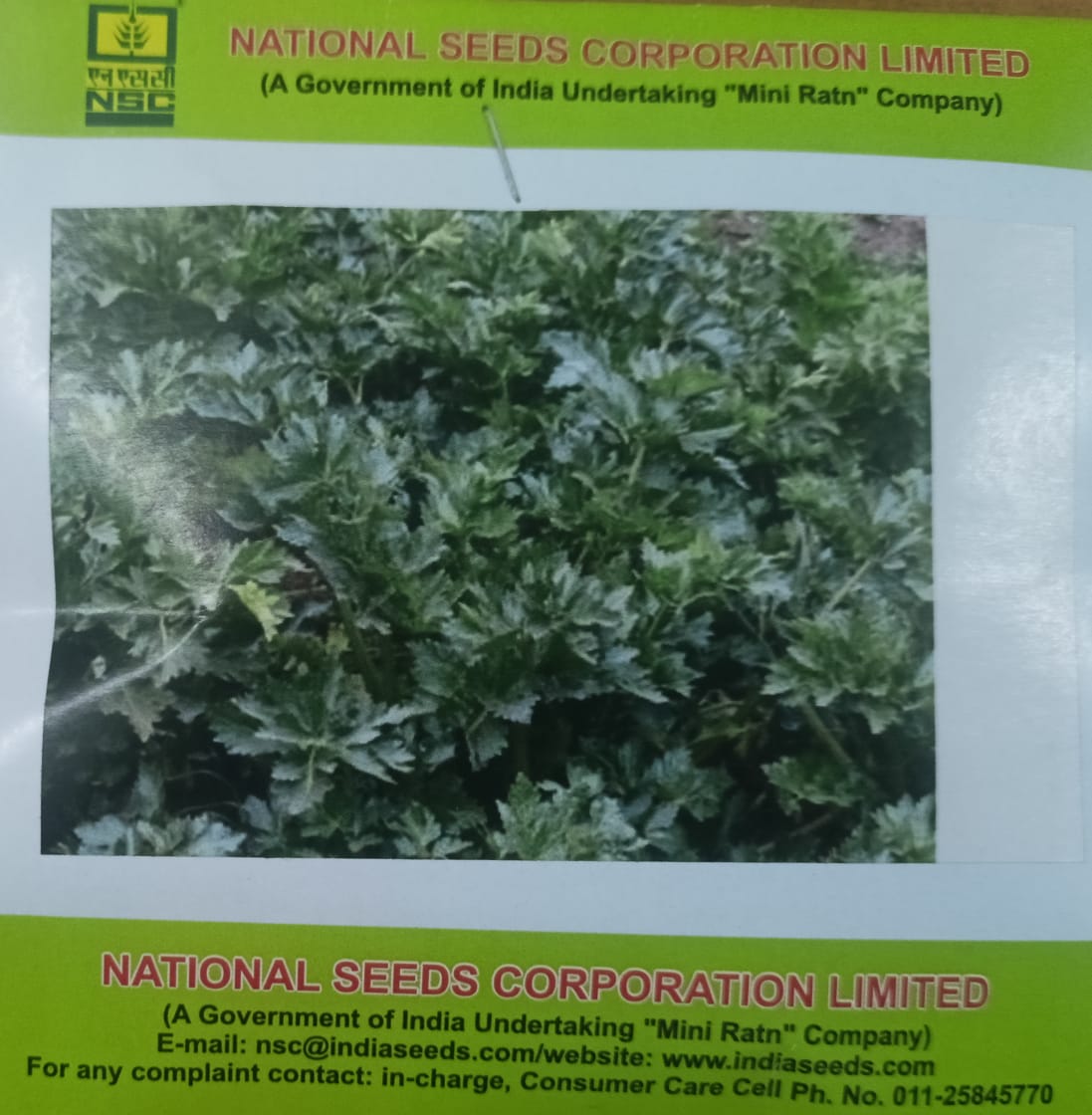 NSC Celery, Ford Hook Emperior Vegetable, 5 Gram Truthfully Labelled Seed Pouch