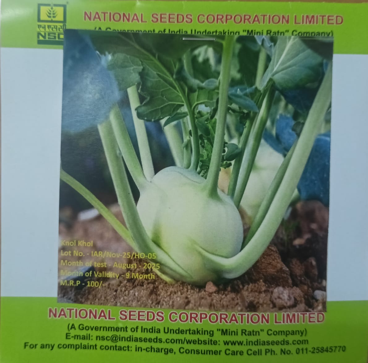 NSC Knol Khol, White Vieena Vegetable, 5 Gram Truthfully Labelled Seed Pouch