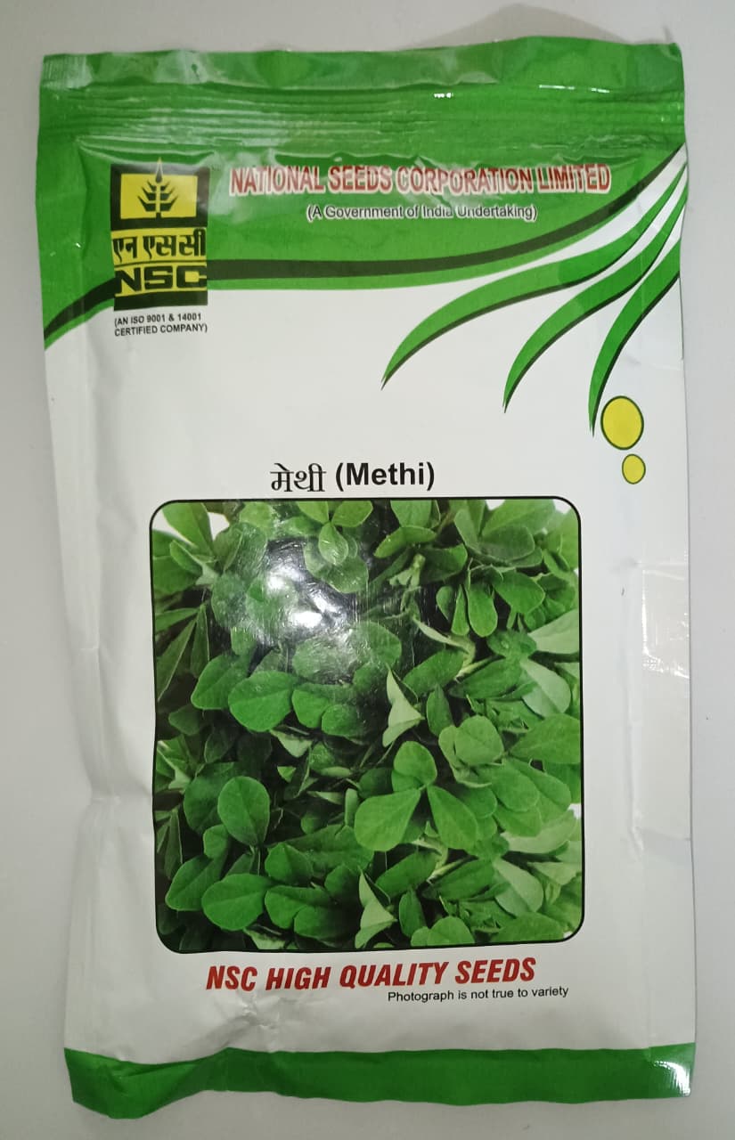 NSC Methi (Fenugreek) Seeds VAR. PEB 250 gm