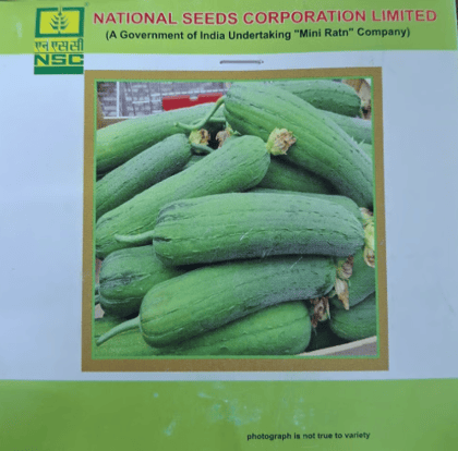 NSC Sponge gourd Kashi Shreya-5 Gms NSC Sponge gourd Kashi Shreya-5 Gms
