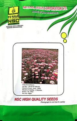 NSC – Acroclinium (10 Gms Seeds)