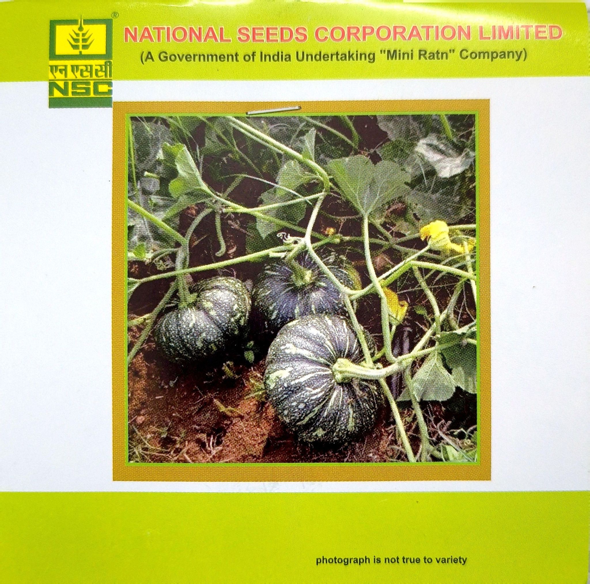 NSC Pumpkin – Kashi Harit Seeds (5 gm Pack)