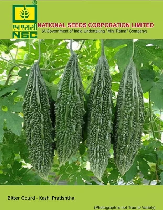 NSC Bitter Gourd Kashi Pratistha Seed-5 gram