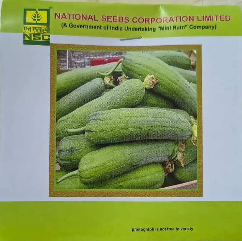 NSC Sponge gourd Kashi Shreya, 5 gram TL Seed