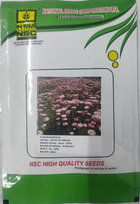 NSC Flower Acroclinium, 10g Truthful Label Seed