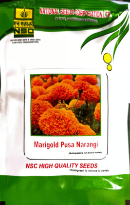 NSC Marigold Pusa Narangi- 10 gram pack NSC Marigold Pusa Narangi- 10 gram pack