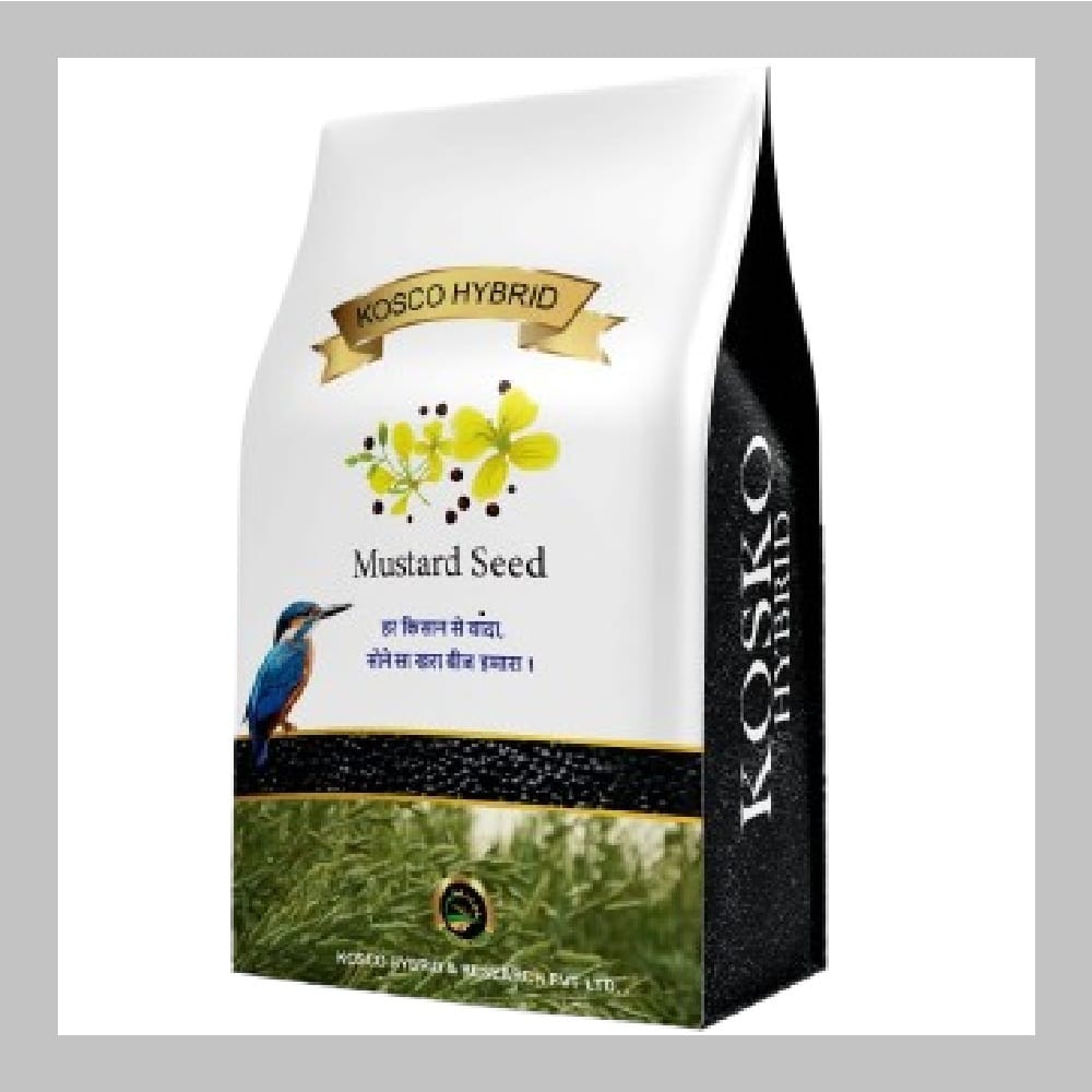 Mustard Seed || PM 32 || – High Yield Variety || Kosco Hybrid || Sarsoo beej|| 1 Kg Pouch || Treated and Coated