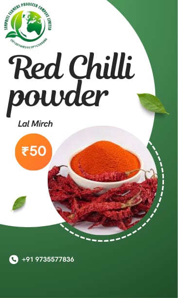 Premium Red Chilli Powder (Lal Mirch) - Rich Flavor & Vibrant Color