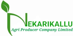 NEKARIKALLU AGRI PRODUCER COMPANY LIMITED