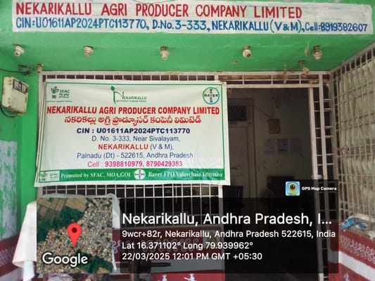 NEKARIKALLU AGRI PRODUCER COMPANY LIMITED