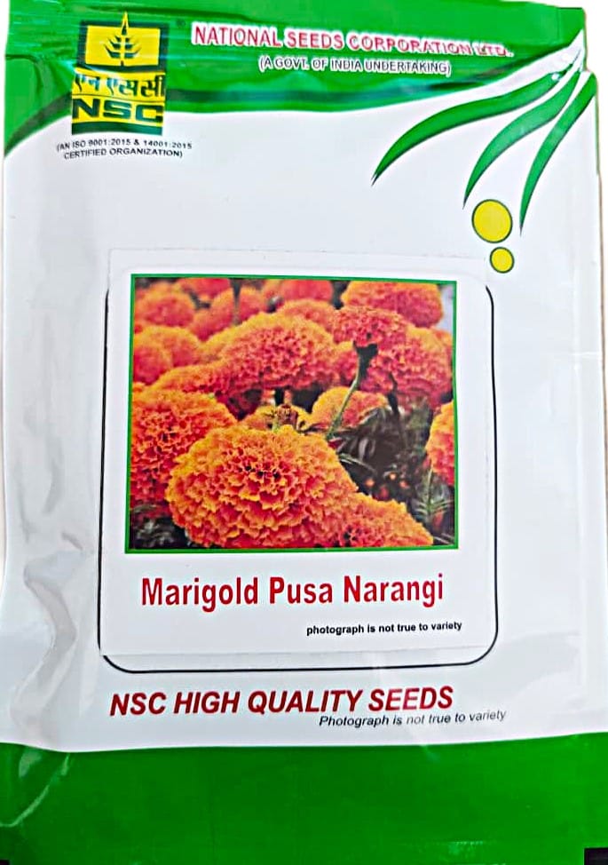 Marigold – Pusa Narangi