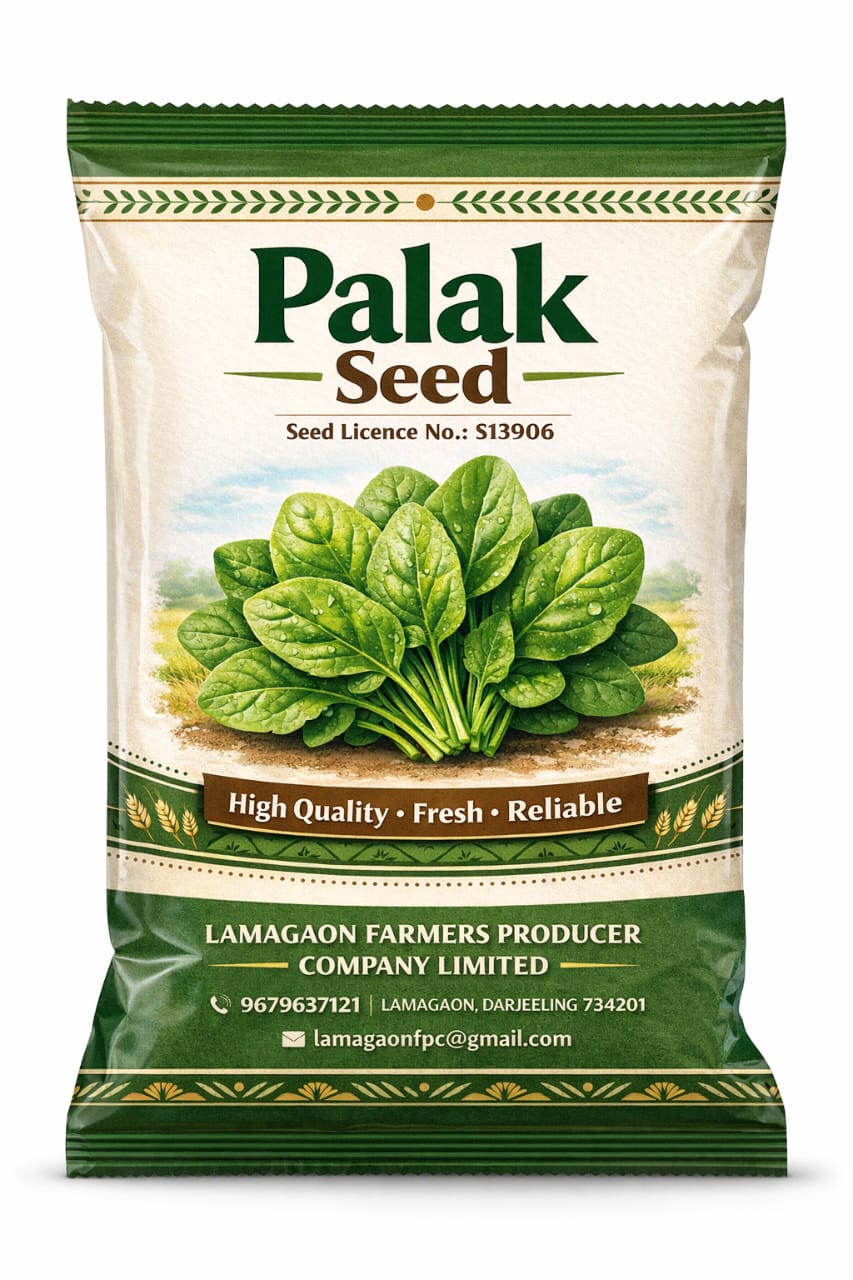 Palak seed -250gm 