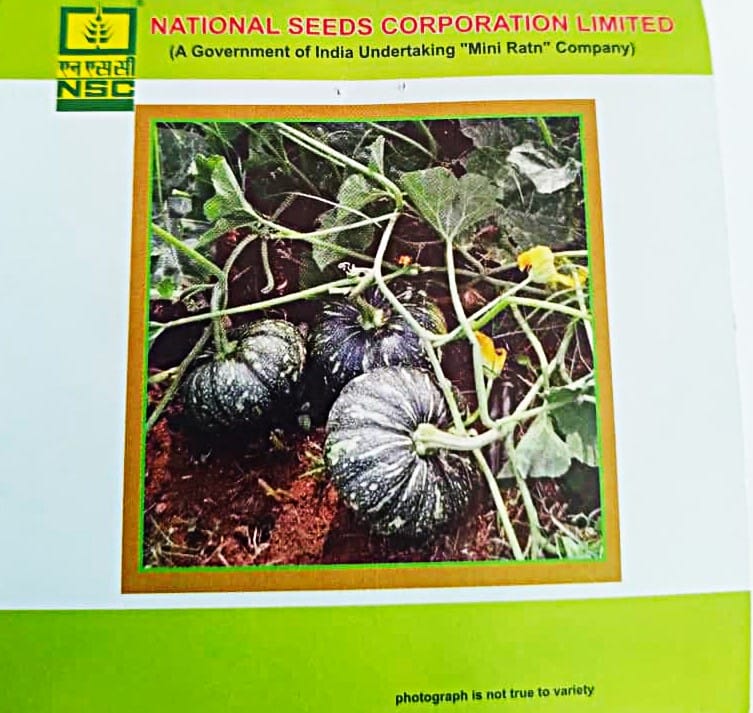 Pumpkin Variety-Kashi Harit