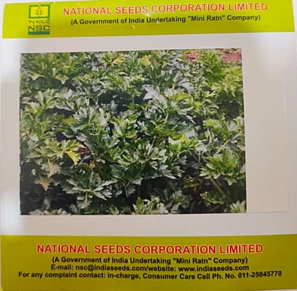 Celery Variety- Ford Hook Emperor