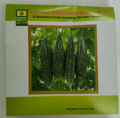 Bitter Gourd Kashi Pratishtha