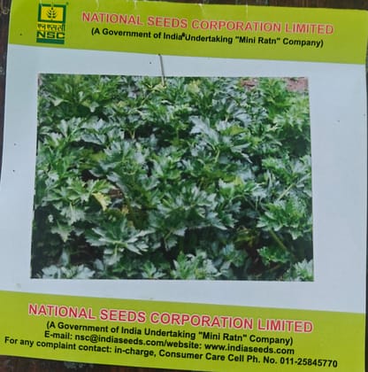 NSC Celery