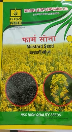 NSC MUSTARD PM-30