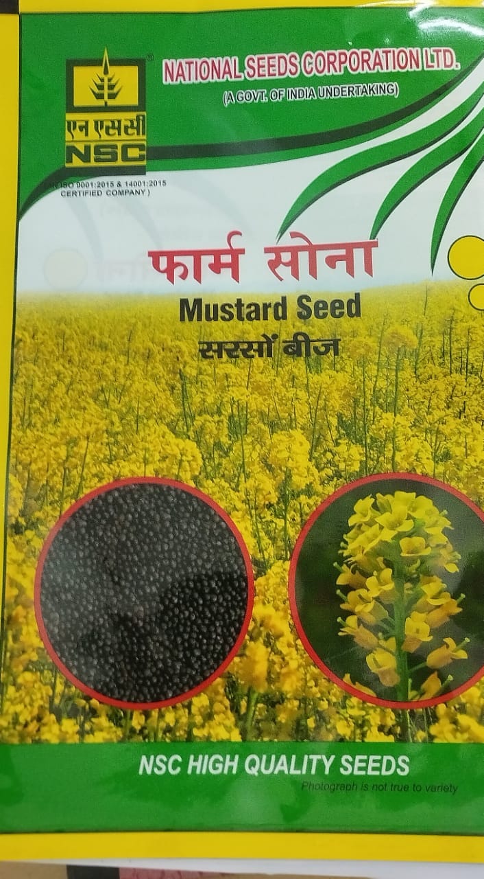 NSC MUSTARD PM-30