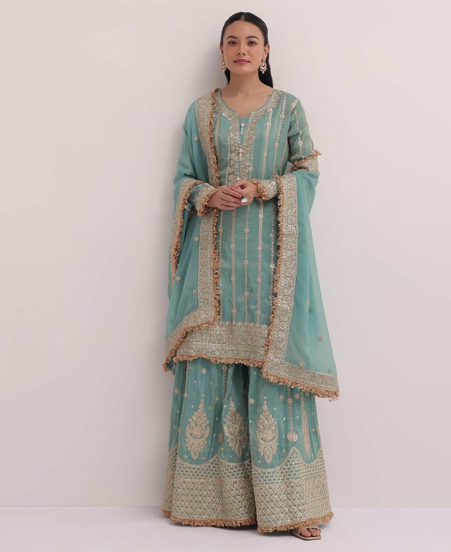 Sky Blue Organza Palazzo Suit for Women – New Summer Special